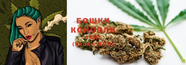 молекула духа Арсеньев