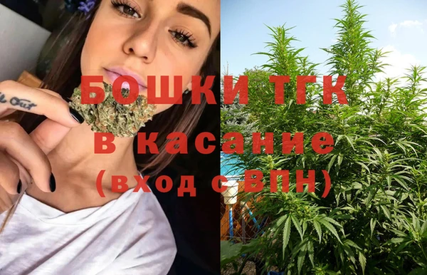 молекула духа Арсеньев