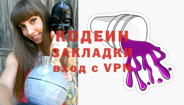 молекула духа Арсеньев