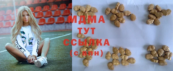 молекула духа Арсеньев