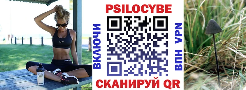 Купить где  Ханты-Мансийск  Псилоцибиновые грибы Magic Shrooms 